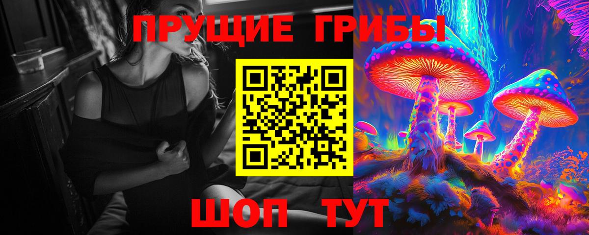 Псилоцибиновые грибы GOLDEN TEACHER  Вход с VPN  купить наркоту  Ипатово 